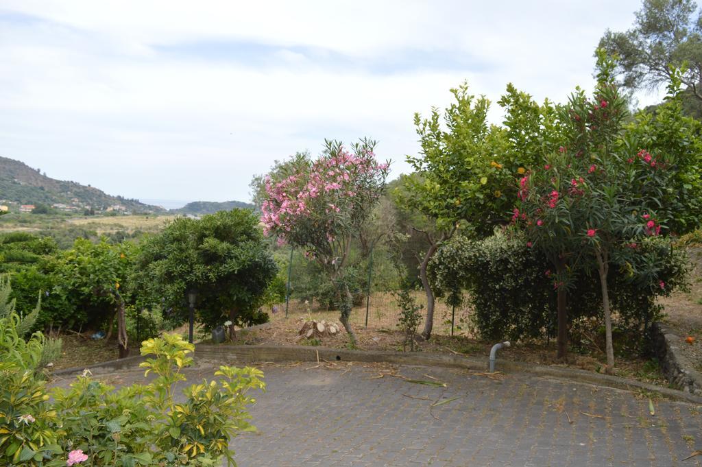 Apartament La Casa Di Giulia Forza dʼAgro Zewnętrze zdjęcie